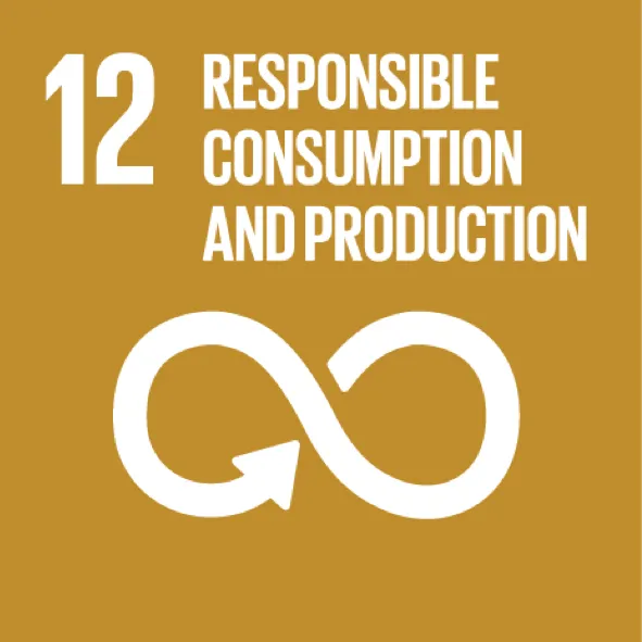 12. Responsible consumption and production