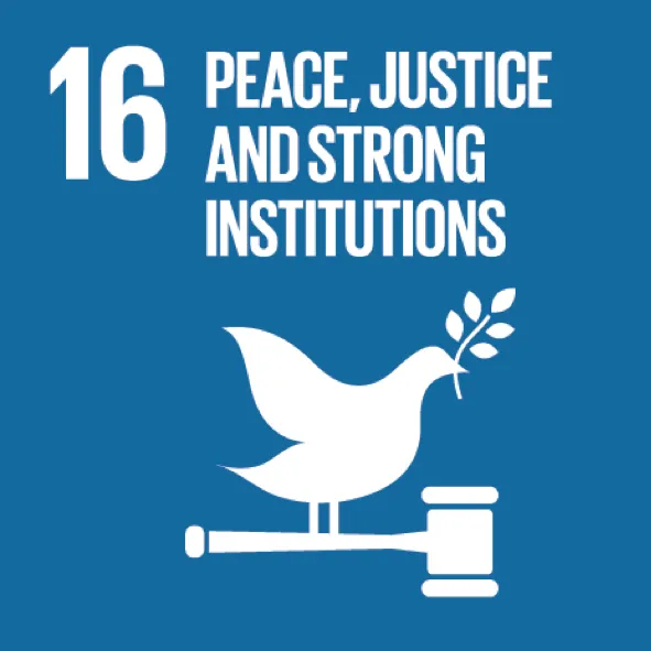 16. Peace, justice and strong institutions