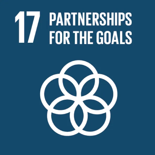 17. Partnerships for the goals